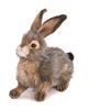 BH6284 HANSA Black-tailed Rabbit 25