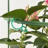 Garden Plant Clips Reusable Plant Support Ties Climbing Plants Clips Vine Support Clips for Indoor Outdoor Gardening
