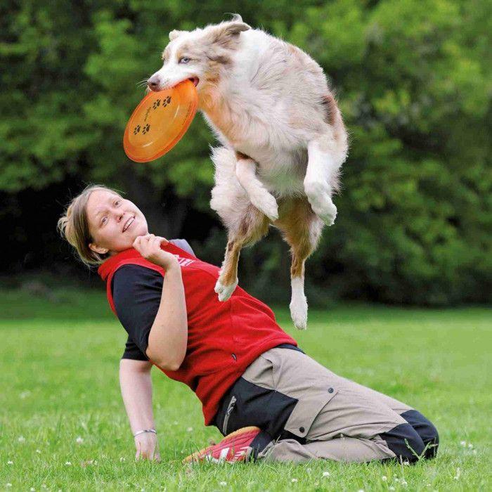 Jouet pour chiens - Frisbee - Plastique - Homologué compétitions - Pour petits chiens - Extérieur