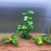 Fish Tank Green Plants Simulated Water Plants Aquarium Landscaping Ornament Realistic Fish Tank Plastic Seaweed for DIY Fish Tank Decor