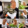 Goose Riding Capybara Alligator Plush Toy Stuffed Animal Pp Cotton Kids Gift