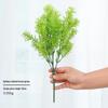 spring moss grass