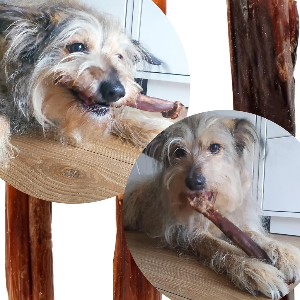 Dogario Bonni Sausage Natural - Natural Hard Sausage