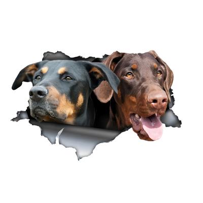 Two Hound Dogs In the Hole Car Stickers, Waterproof Pvc Animal Decals With 3D Effect, Block Scratches and Increase Fun Auto Parts
