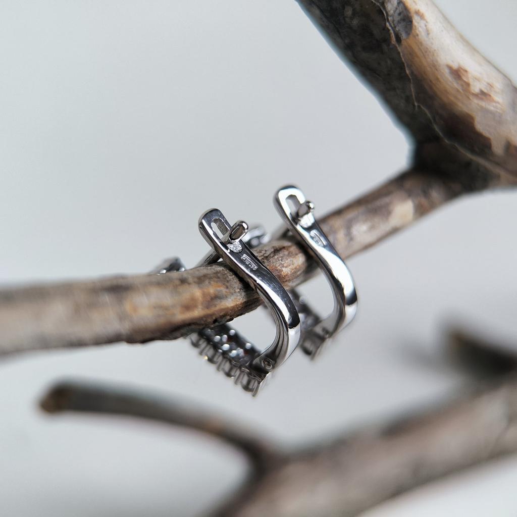 Серебряные серьги с натуральным гранатом 1.369ct (2203964)