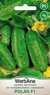 Cucumber Polan (F1) 4g Vegetable Seeds -