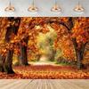Rustic photographic backdrop: Maple forest, orange autumn leaves, pumpkin banner, for baby shower decorations4921