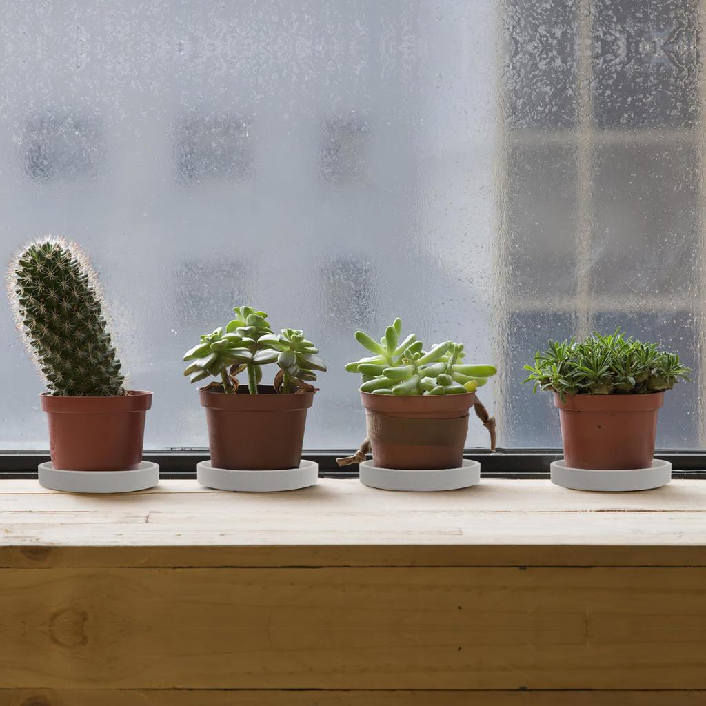 OUNONA Flower Pot Round Shallow Set of Cactus Flower Pot Gardening Dark Planter, Saucer, Tray, Plate, Ceramic, Plate, 2, Pot, Houseplant, Stand,