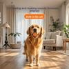 Sprechendes Zähneknirschen und Reinigen Wabenball-Spielzeug, Interaktives Selbstunterhaltungs- und Langeweile-Hundespielzeug, Naturkautschuk-Haustierspielzeug