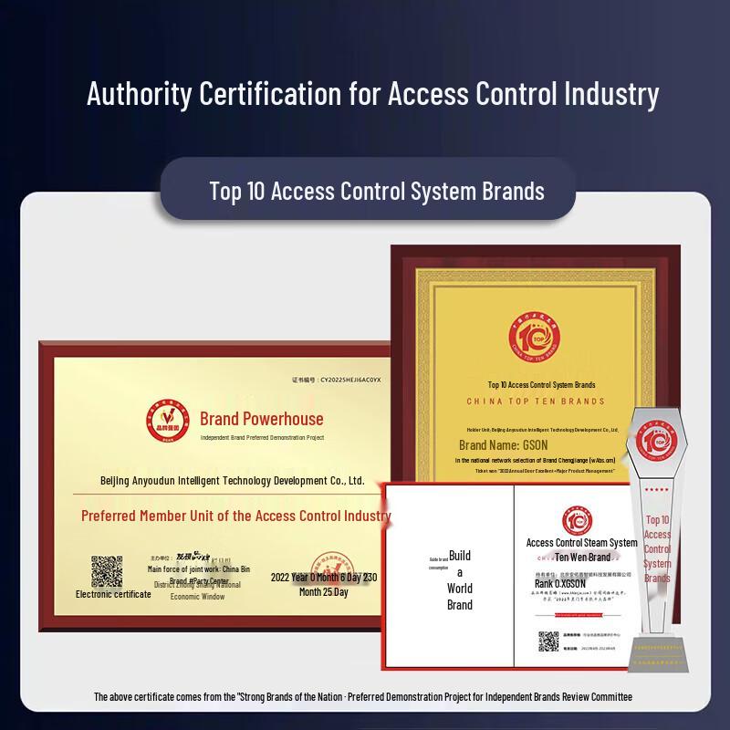 GS GSON RFID Access Control Cards & Key Fobs (20-Pack) CN plug (adapter included)