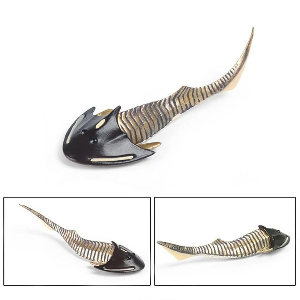 Simulation Ozeantier Figur Nautilus Trilobit Figur Meeresleben Figuren Kinderspielzeug