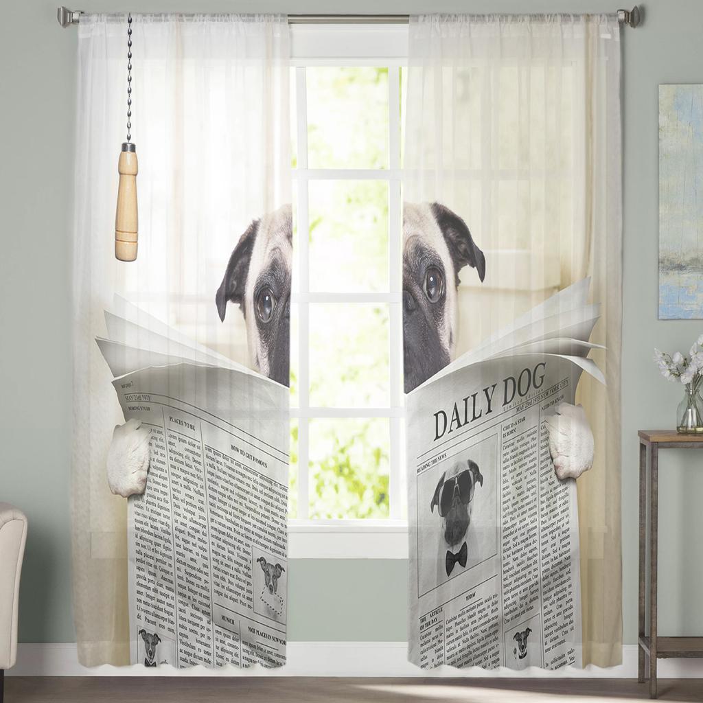 Lustige Zeitung Hund Fensterbehandlung Tüll Moderne Transparente Vorhänge für Küche Wohnzimmer Schlafzimmer Vorhänge Dekoration