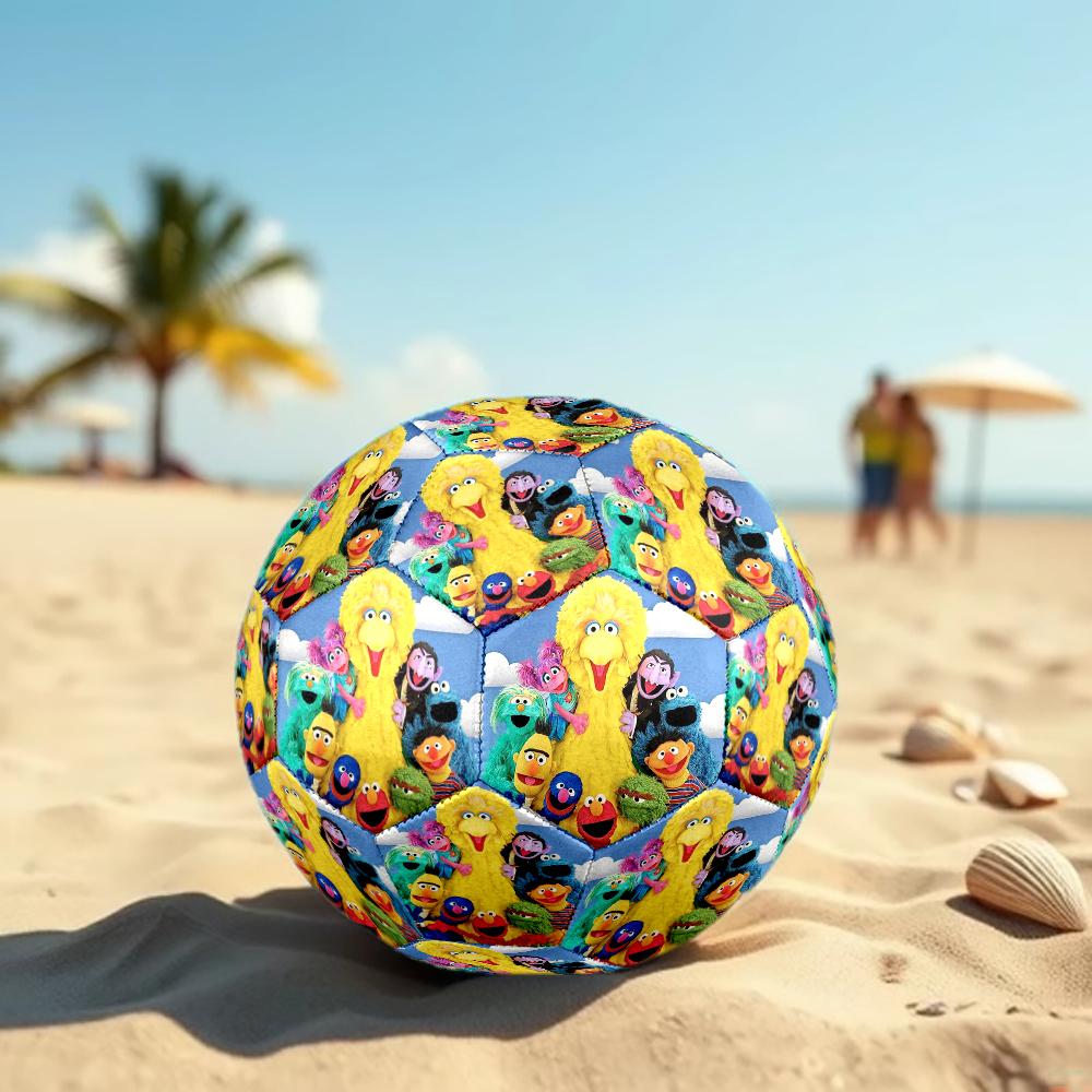 Sesame Street Theme Size 5 Soccer Ball, Suitable for Both Indoor and Outdoor Matches, a Gift Suitable for Everyone.