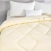 Mercury Home Textiles Antibacterial Soybean Duvet