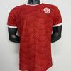 Order. African Cup Of Nations Team Tunisia Congo Mali Algeria Jersey