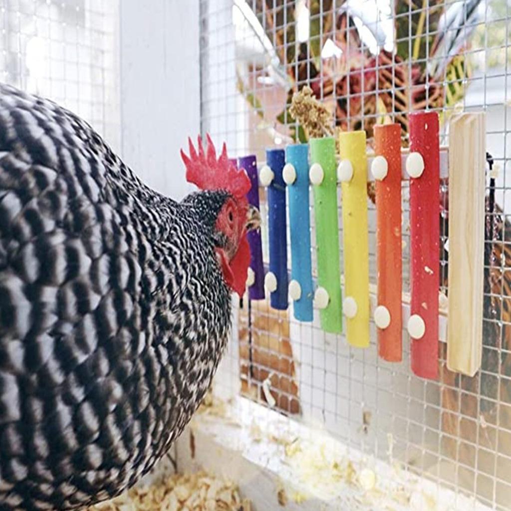 Chicken Coop's Harp Chicken Xylophone Toy Hen Xylophone Toy Henhouse Dog Toy Henhouse