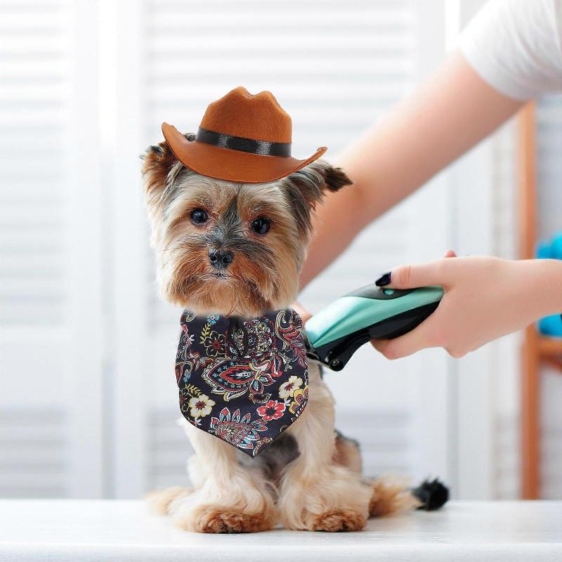 Dog Hat and Bandana Kit for Party 3Sets Vintage Style Pet Hat Accessory