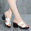 Summer Slipper Female Block Heel Platform Sandals Ladies Slides Women 2025 New High Heels Office Women's  Shoes Sandals