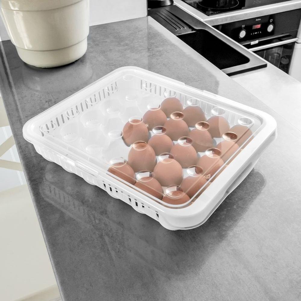Egg container for 30 eggs