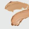 Match-up Cover Stick Foundation Set (+Shading Stick Gift)