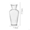 Elegant Glass Vase for Plant Propagation And Floral Display