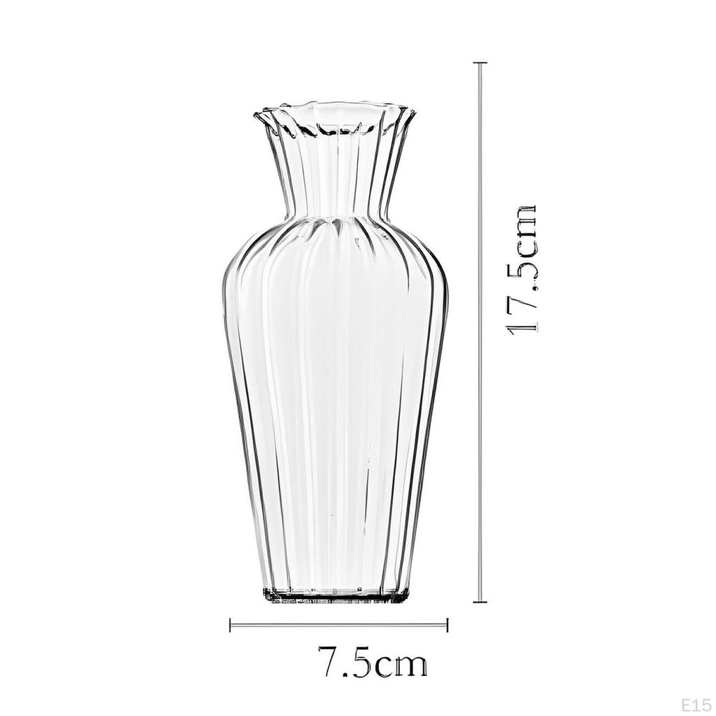 Elegant Glass Vase for Plant Propagation And Floral Display