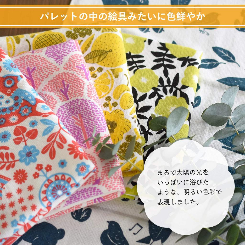 Transparan Gauze Face Palette Gauze Gauze Senshu Cotton Japanese-Made Towels, Towels, 5-Piece Set, Towels, Single-Sided Pile, Single-Sided Fabric,