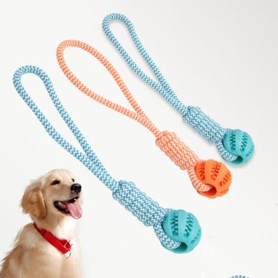 Relieve Boredom Interactive Pet Toys Pet Tooth Cleaning Rope Knot Dog Toys Dog Chewing Toys  Cat