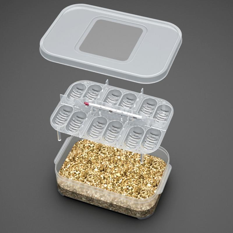 Incubadora de Cría de Reptiles 12 Rejillas Incubadora de Huevos de Tortuga Transparente Caja de Incubación de Anfibios Para Tortuga Melena de León