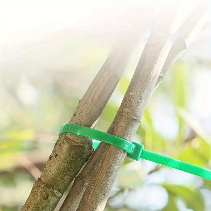 111pcs/set Garden Cable Tie, Plant Wrapping, Plant Fixing, Garden Care, Use Potted Garden Plant Shelf Fixing, Plant Accessories