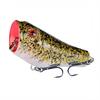 5 Color Topwater Set Hard for Fishing