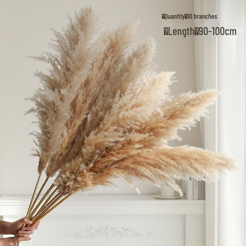 Natural Air-Dried Reed and Cattail Flower Bouquet for Floor Vase Decoration