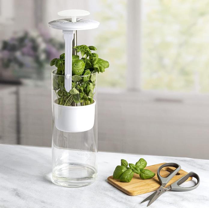 Контейнер для хранения зелени - Герметичная коробка для сохранения овощей для кинзы, петрушки, базилика и свежей зелени