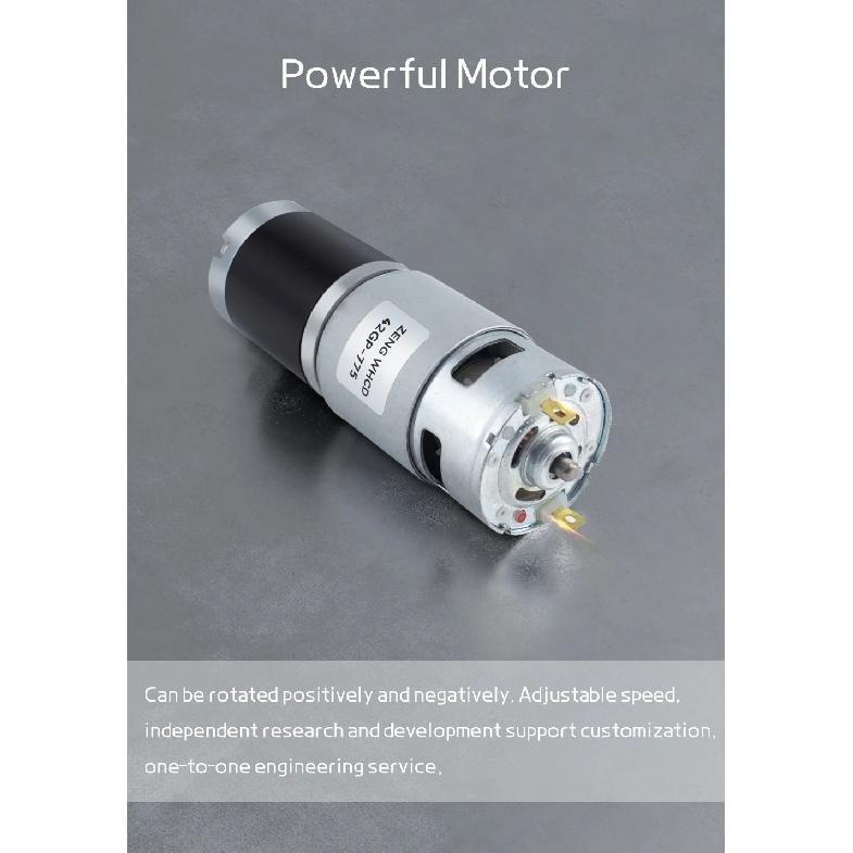 42GP-775 Planetary Gear Reduced DC Motor, 12V/24V, 10mm Output Shaft all-metal Gears Torque up to 253KG Reversible Brushed Motor