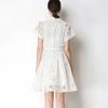 Elegant Lace Embroidery Hollow-out Mini Dress for Women Lapel High Waist A-Line Short Sleeve Single Belt Short Dress Summer