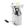 Compatible Fuel Pump Assembly for Citroen DS5 (9801392480)