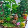 30pcs/set Plastic Simulated Flower Clusters 10~15mm*8mm Landscape Wargame Grass Tufts