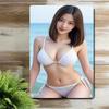 Metal Poster Wall Art Bikini Model Painting Home Bar Cafe Bathroom Decor