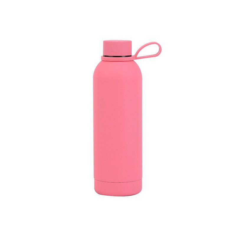 500ml 304 Stainless Steel Small Bottle Large-Capacity Thermos With Handle Outdoor Portable Sports Cup Vacuum Insulation Gifts