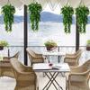 80CM Artificial Ivy & Eucalyptus Vine Fake Rattan Leaf Garland for Home Wedding Party Garden Decor Indoor/Outdoor Hanging Plants