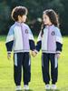 Blue-Purple Sportswear Baseball Suit Set for Kindergarten and Elementary School: Spring, Autumn, and Graduation Uniform
