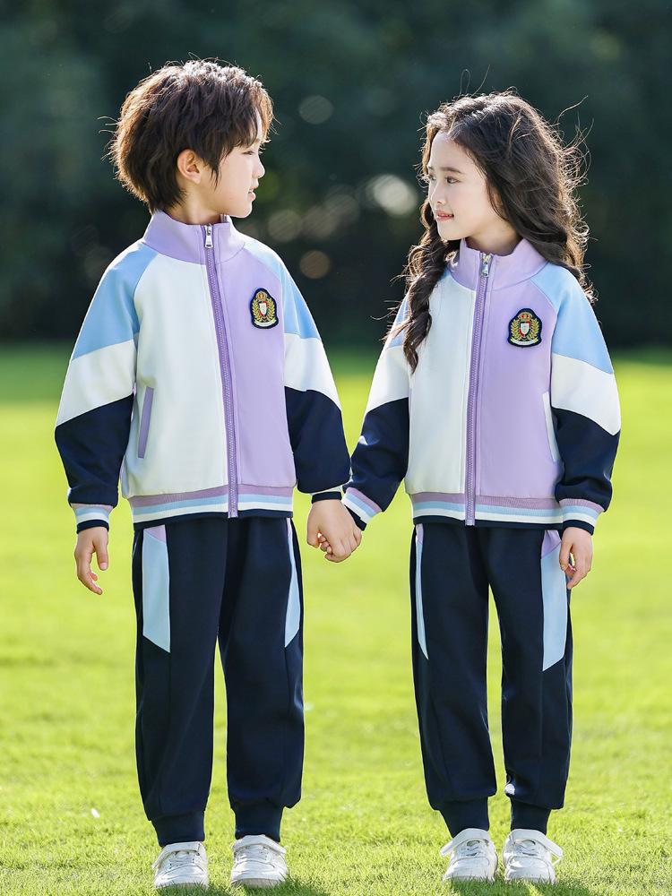 Blue-Purple Sportswear Baseball Suit Set for Kindergarten and Elementary School: Spring, Autumn, and Graduation Uniform