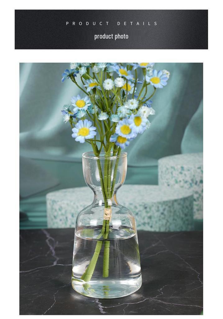 Transparent High Borosilicate Glass Hydroponic Avocado Seed Growing Vase