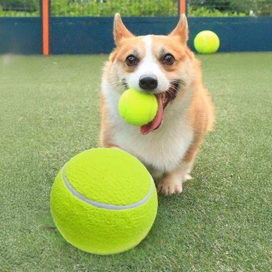 Squeaky Tennis Dog Chew Toy Bite Resistant Aggressive Chewer Interactive Ball Toy Small Medium Large Dog Teething Cleaning Ball Toy