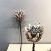 1Pc Simulation Single Dried King Protea Flower, for Wedding Home Decoration Holiday Decoration Valentine's Day Gift Birthday Gift
