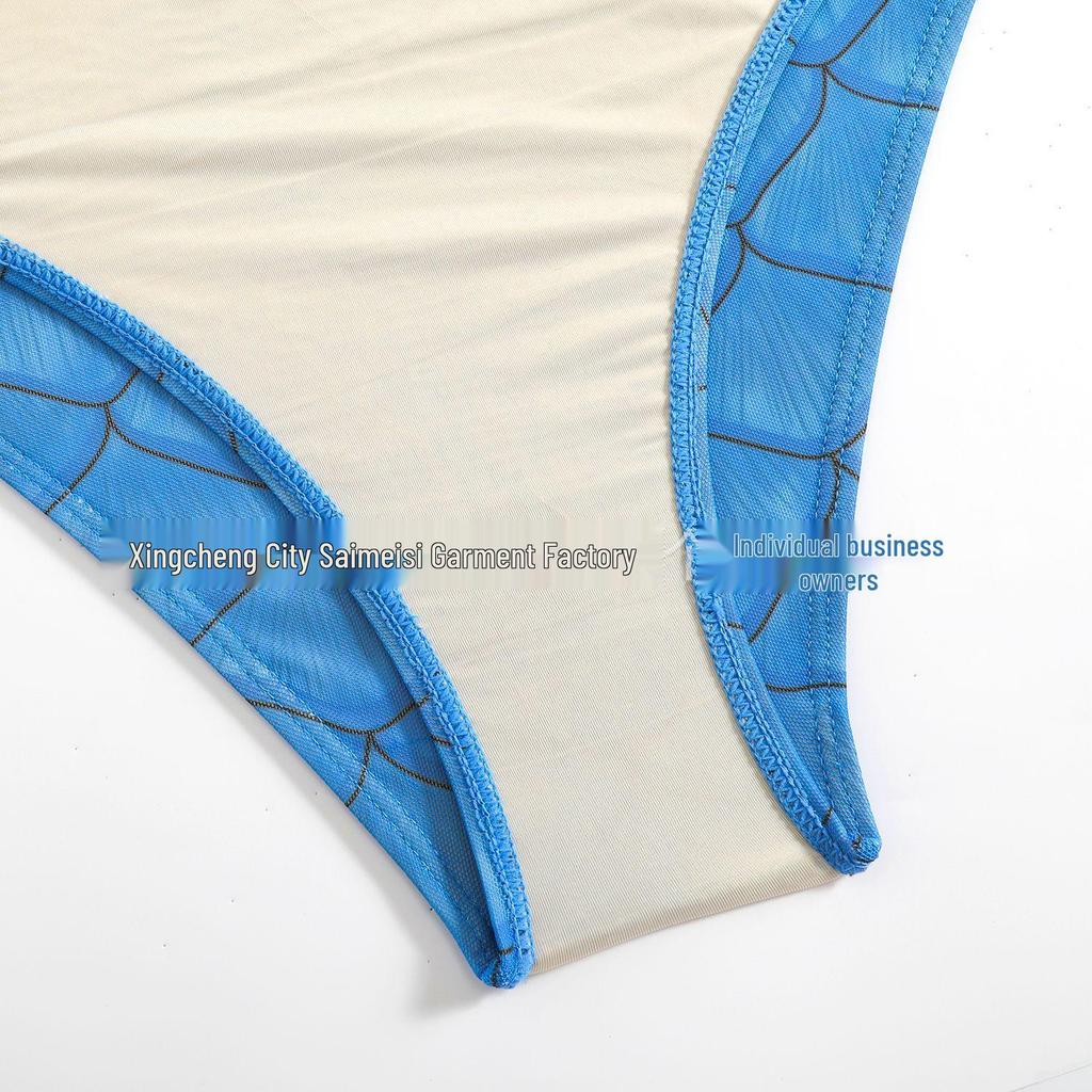 Russian Fish Scale Mesh Long Sleeve Swimsuit