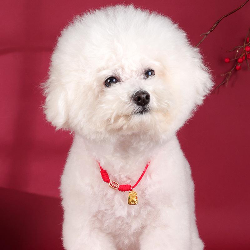 Handmade Red Rope Pet Necklace: Attract Wealth & Fortune for Cats & Dogs