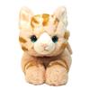 Sun Lemon Knee Cat Brown M 25 x 39 x 12cm Stuffed Animal P-1812
