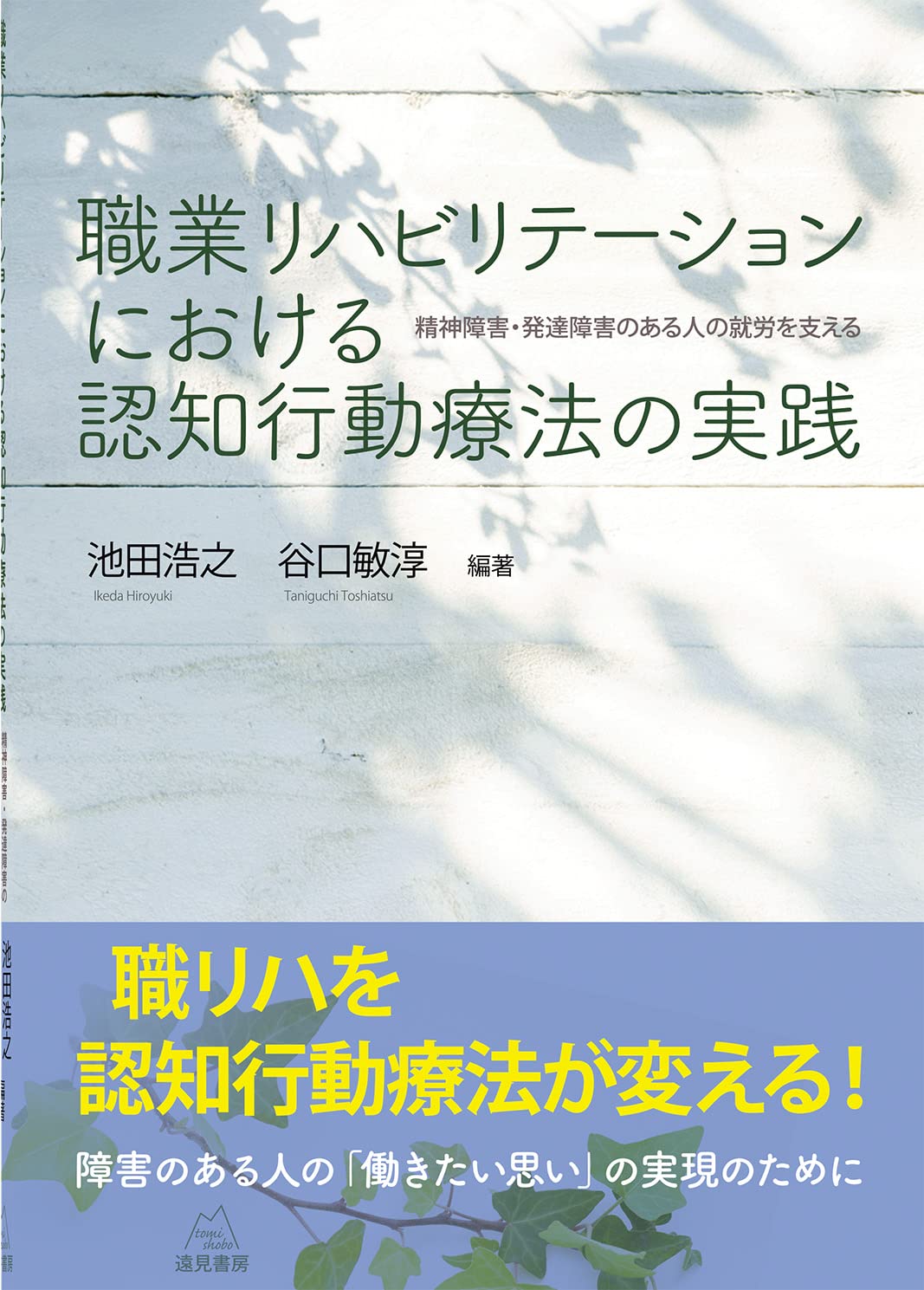 The practice of cognitive behavioral therapy in vocational rehabilitation: Supporting employment for people with mental and developmental disabilities