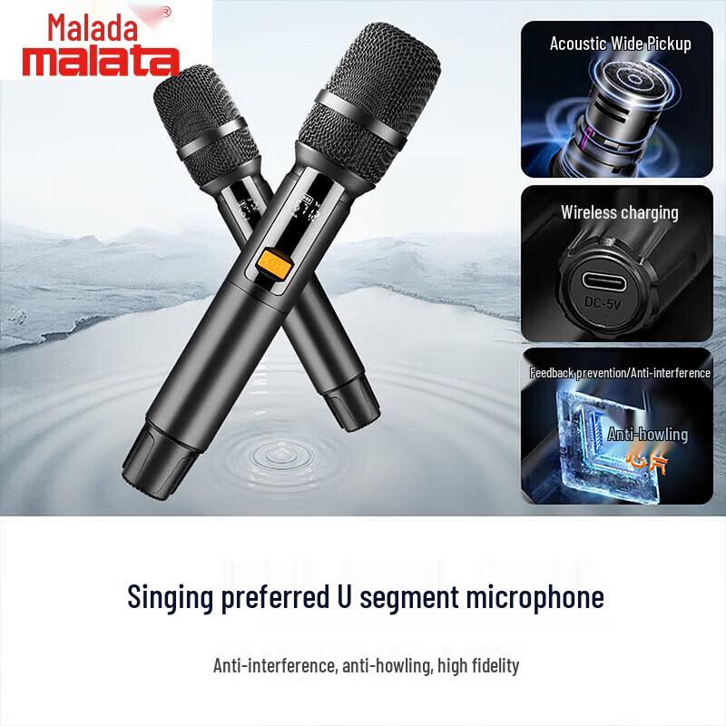 Malata A15 Portable Home Karaoke System (CN version)